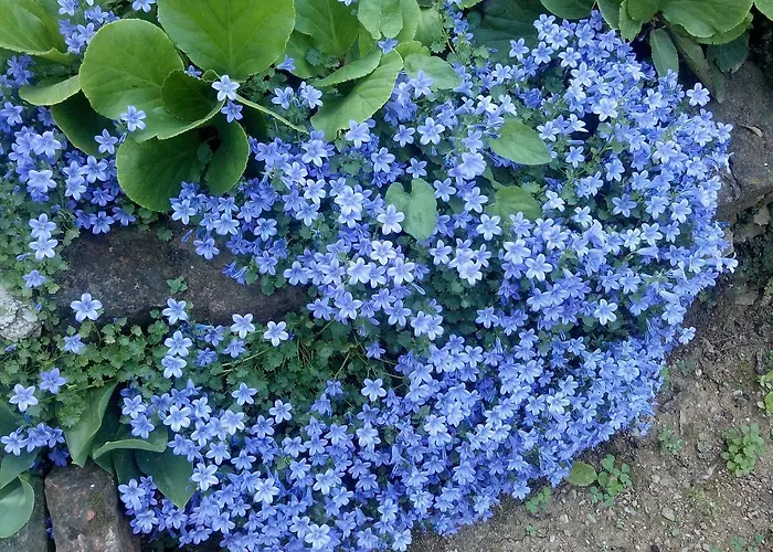 Luna Apartment Opatija