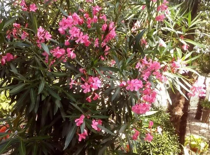 Luna Apartment Opatija