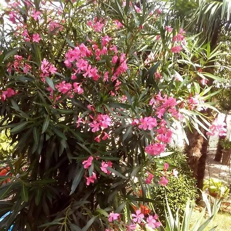 Luna Apartmán Opatija